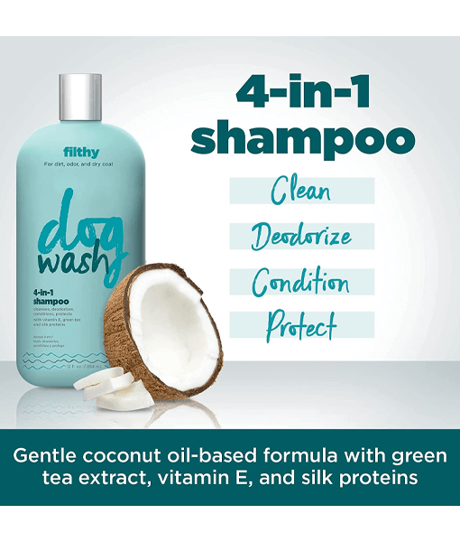 Synergy Labs - Filthy, 4 in 1 Shampoo, Deodorizes, Cleanses, Conditions, Protects - 354ml,709ml