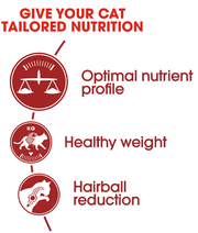 Royal Canin - Fit and active (10kg -15kg)