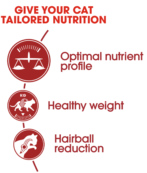 Royal Canin - Fit and active (10kg -15kg)