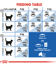 Royal Canin - Home Life Indoor Adult Cats 2kg-4kg