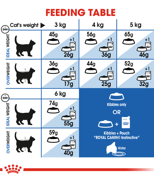 Royal Canin - Home Life Indoor Adult Cats 2kg-4kg