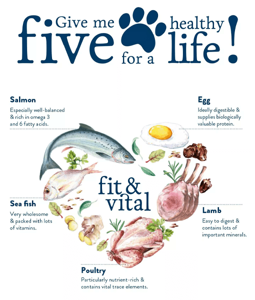Happy Dog - fit & vital  Medium Adult Chicken 12 kg