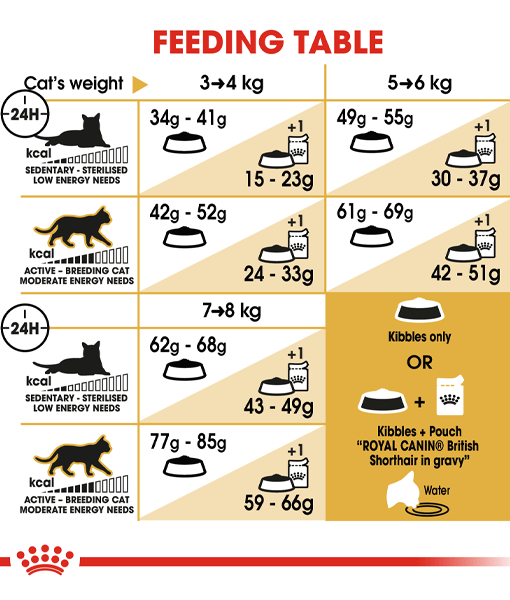 Royal Canin - British Shorthair Adult 2kg