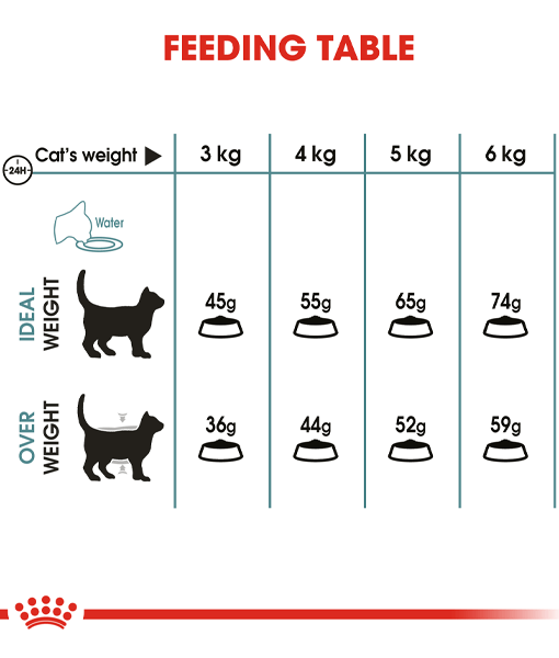 Royal Canin Royal Canin - Hairball Care 2kg