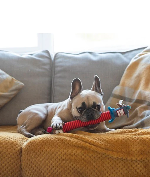 GiGwi Crunchy Neck 'Plush Friendz' Dog-S with bone & squeaker
