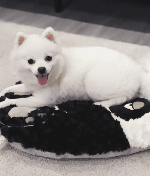 GIGWI Pet bed, Panda, 56 x 46 x 36 cm, black GiGwi