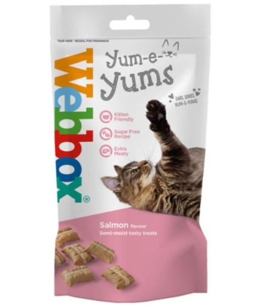 Webbox - Yum-e-Yums Salmon Cat Treats Webbox