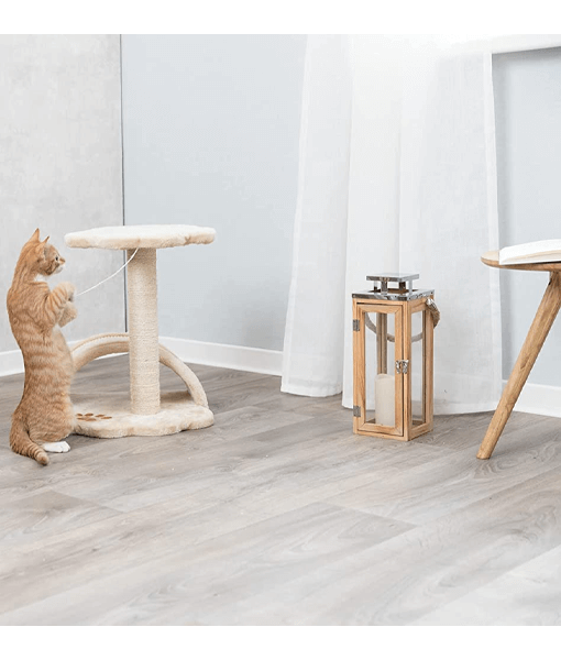 Trixie Scratching surface Vitoria L36.07xW36.07xH43.18 cm