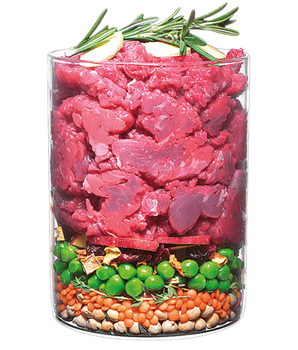 Carnilove True Fresh - Fresh Beef with Peas and Pumpkin 11.4 Kg Carnilove True Fresh