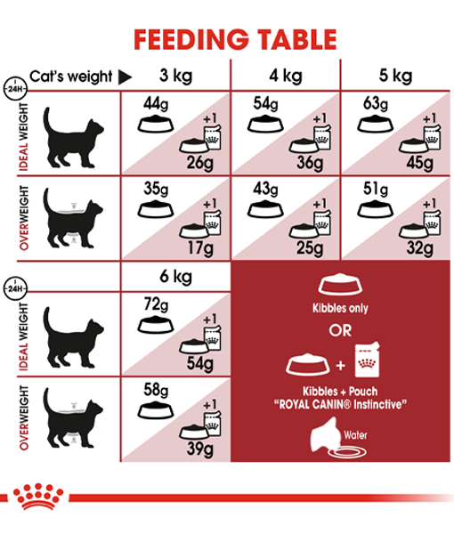 Royal Canin - Fit and active (10kg -15kg)