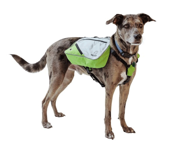 Alcott Alcott - Explorer Adventure Backpack S,M,L
