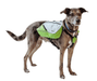 Alcott Alcott - Explorer Adventure Backpack S,M,L