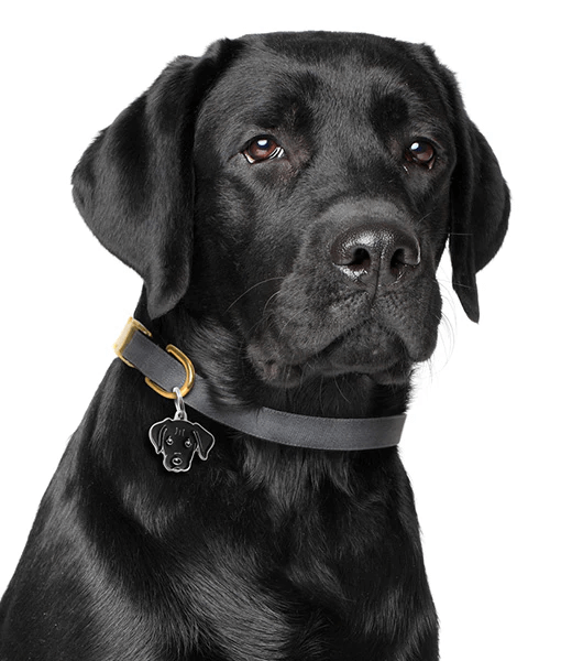 ID Tag - Black Labrador