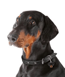 ID Tag - Dobermann