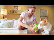 PetGeek Playbone