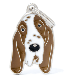 my family ID Tag - Italian Pointer