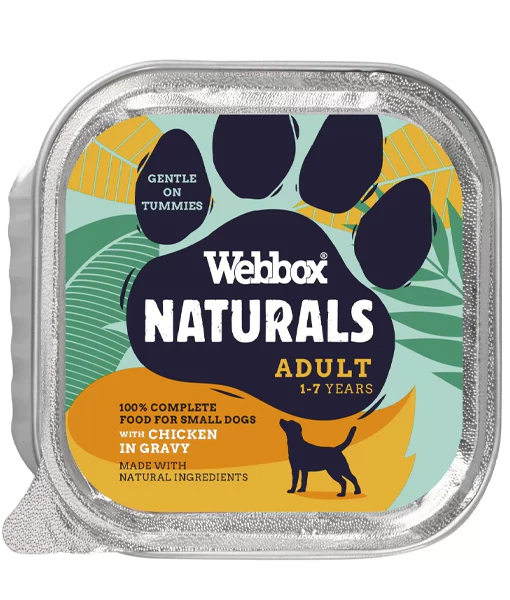 Webbox Natural - Adult Chicken Pate Wet Dog Food 150g Webbox