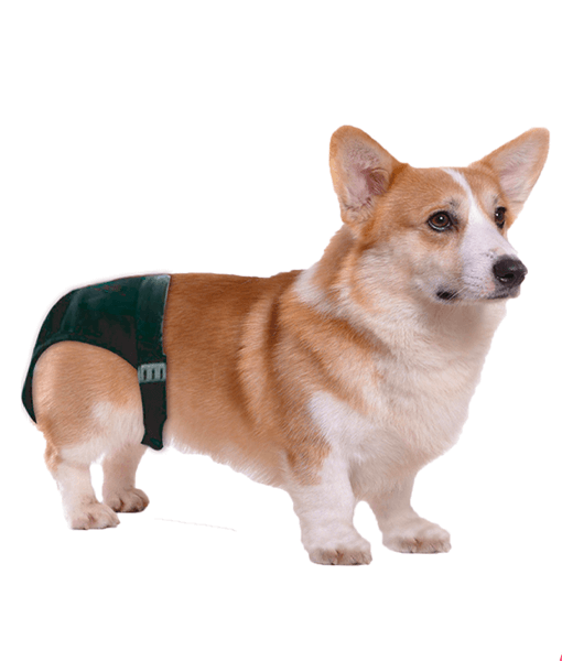 Pawise - Dog Pants