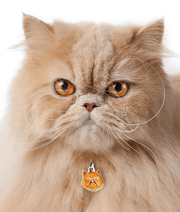 ID Tag - Red Persian