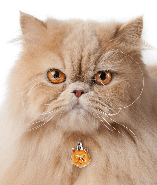 ID Tag - Red Persian