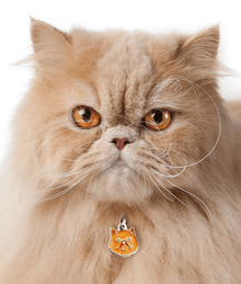 ID Tag - Red Persian