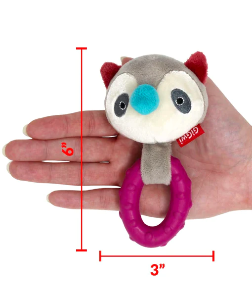 GiGwi - Suppa Puppa Rubber Dog Chew Toy Coon with Ring