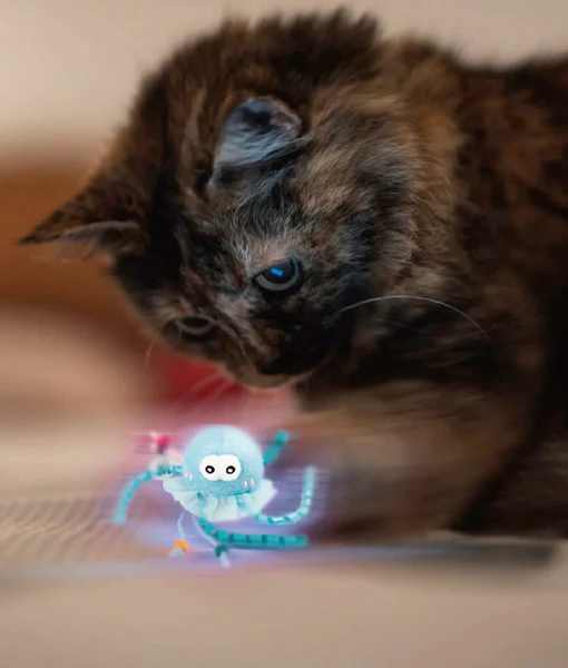 GiGwi - Jellyfish with Catnip and LED light GiGwi