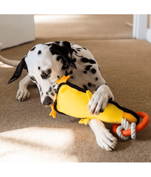 GiGwi GiGwi Iron Grip Duck Plush Tug Toy with TPR Handle