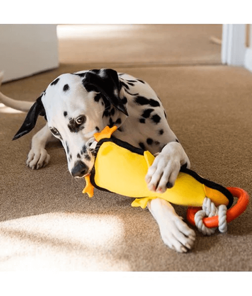 GiGwi Iron Grip Duck Plush Tug Toy with TPR Handle GiGwi