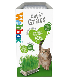Webbox Webbox - Cat Grass