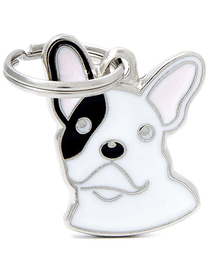 my family ID Tag - White French Bulldog