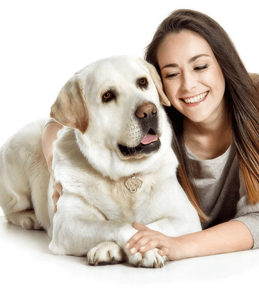 ID Tag - Yellow Labrador